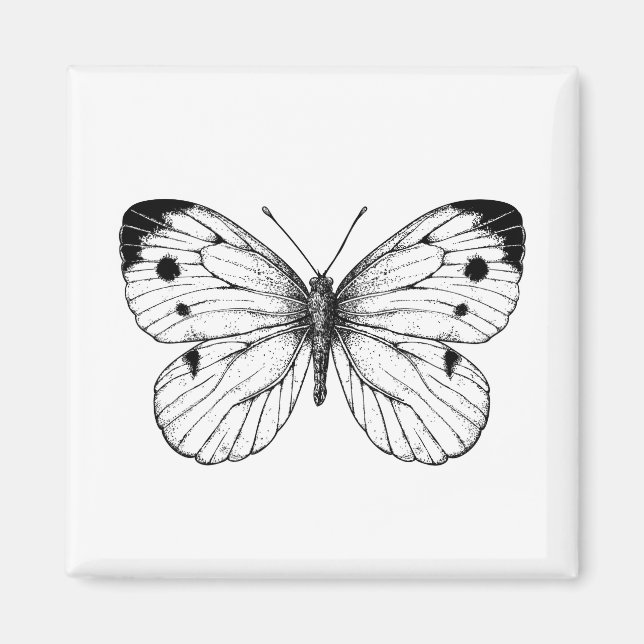 Cabbage butterfly magnet (Front)
