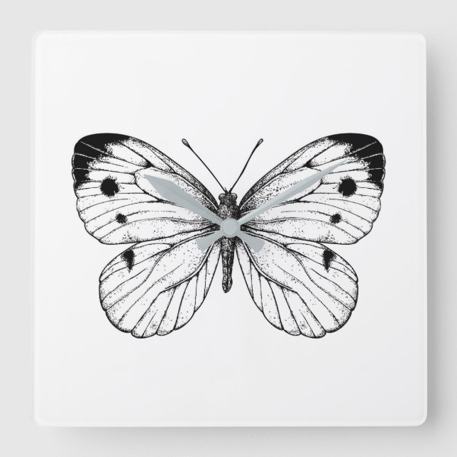 Cabbage butterfly square wall clock (Front)