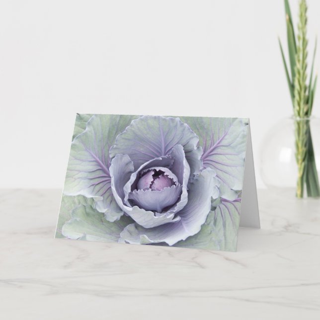 Cabbage Card (Front)