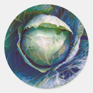 Cabbage Classic Round Sticker