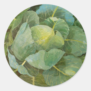 Cabbage Classic Round Sticker