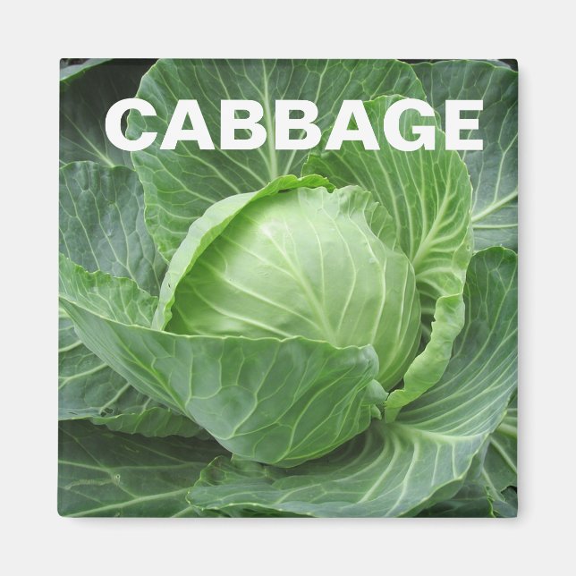Cabbage Head Square Magnet (Front)