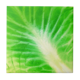 Cabbage Leaf Ceramic Tile