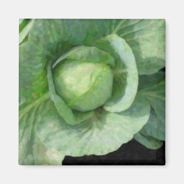 Cabbage Magnet (Front)