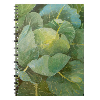 Cabbage Notebook