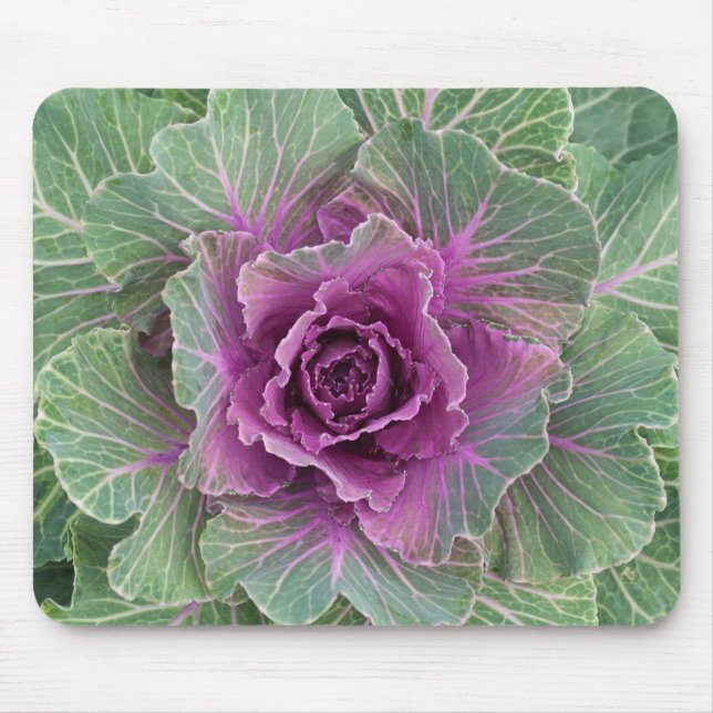 Cabbage Plant Mouse Pad (Front)