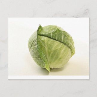 cabbage postcard