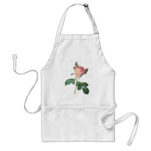 Cabbage Rose Botanical Print Standard Apron