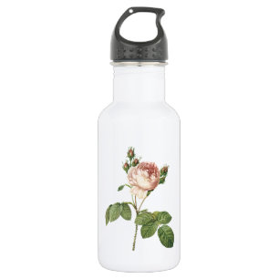 cabbage rose (Rosa centifolia) by Redouté 532 Ml Water Bottle