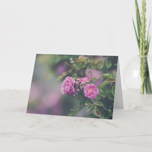 Cabbage Roses Card (Front)