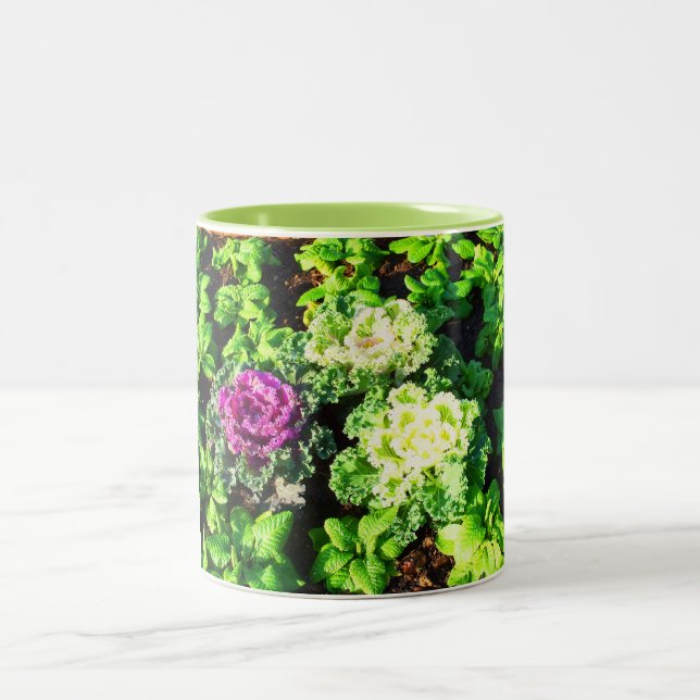Cabbages and primulas Two-Tone coffee mug (Center)