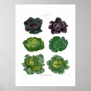 Cabbages Poster