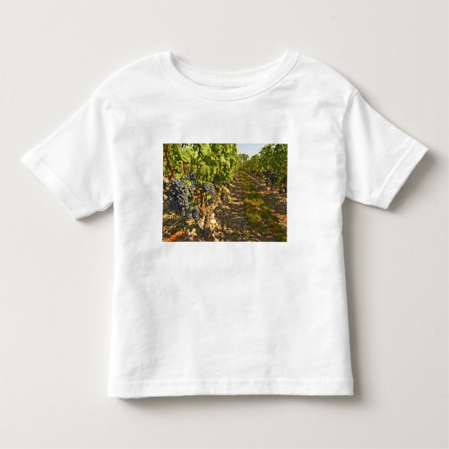 Cabernet Sauvignon vines in a row in the Toddler T-Shirt (Front)
