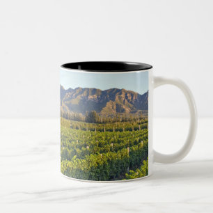 Cabernet Sauvignon vines in Huailai Rongchen 2 Two-Tone Coffee Mug