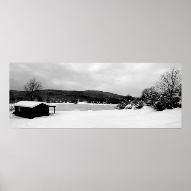 Cabin B & W Poster (Front)