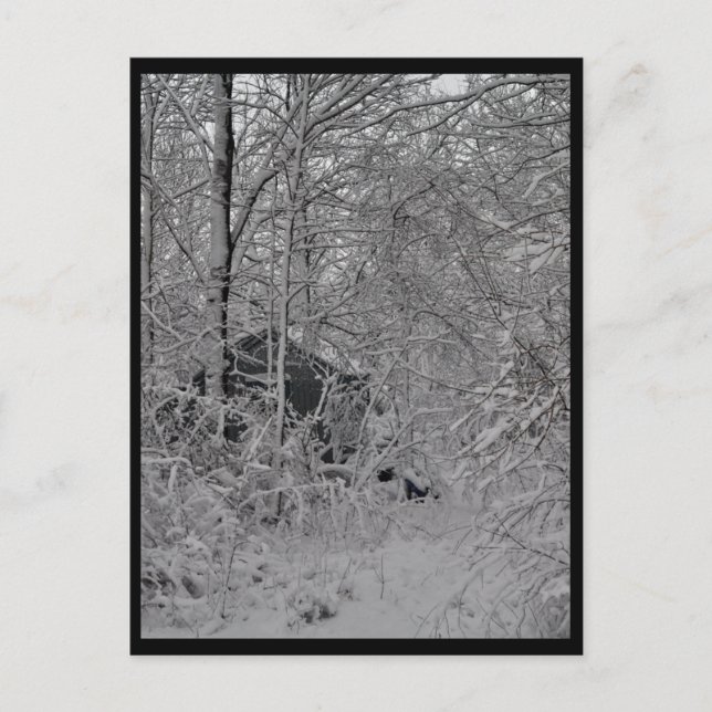 Cabin in the Woods Postcard (Front)