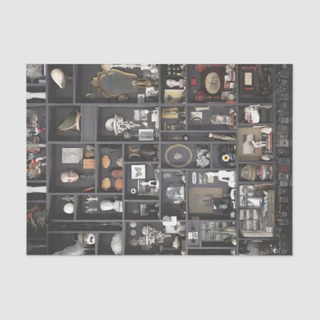 Cabinet of Curiosities Shelves Tissue Paper (Front)