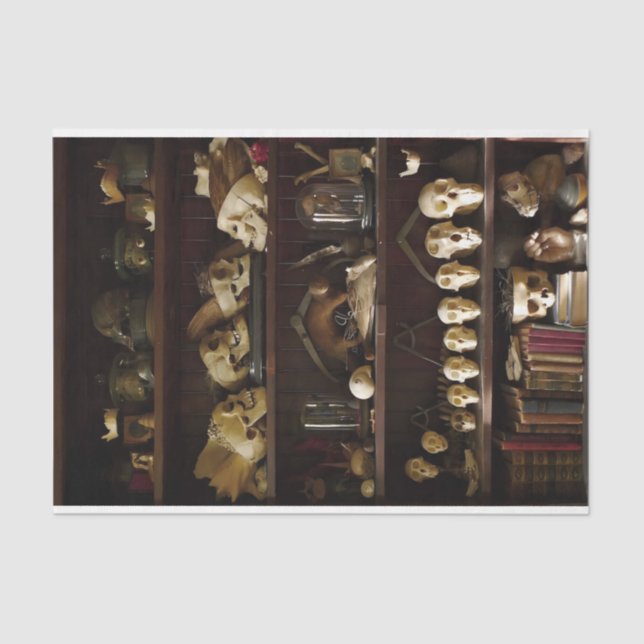 Cabinet of Curiosities Skulls Tissue Paper (Front)