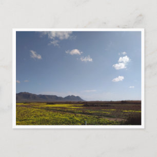 Cabo de Gata, Andalusia (Spain) Postcard