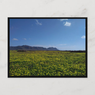 Cabo de Gata, Andalusia (Spain) Postcard