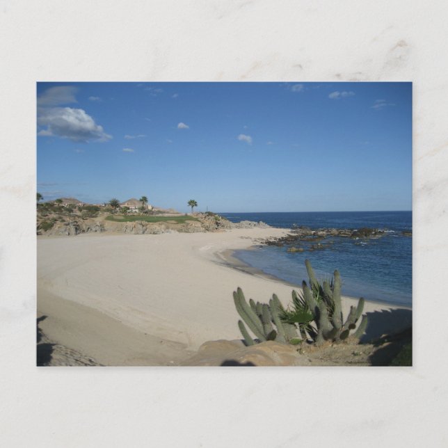 Cabo del Sol - Golf Course Postcard (Front)