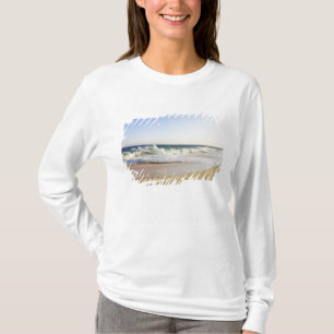 Cabo San Lucas, Baja California Sur, Mexico - T-Shirt