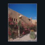 Cabo San Lucas, Baja, Mexico Postcard<br><div class="desc">Cabo San Lucas,  Baja,  Mexico
 This and other great desert views and photos at http://www.beautifulclicks.com</div>