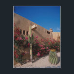 Cabo San Lucas, Baja, Mexico Postcard<br><div class="desc">Cabo San Lucas,  Baja,  Mexico
 This and other great desert views and photos at http://www.beautifulclicks.com</div>