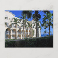 Cabo San Lucas Mexico Palm Trees Blue Sky