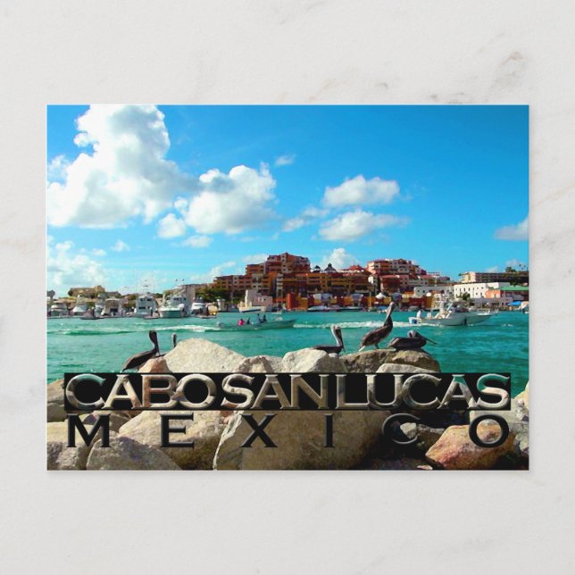 Cabo San Lucas Postcard (Front)