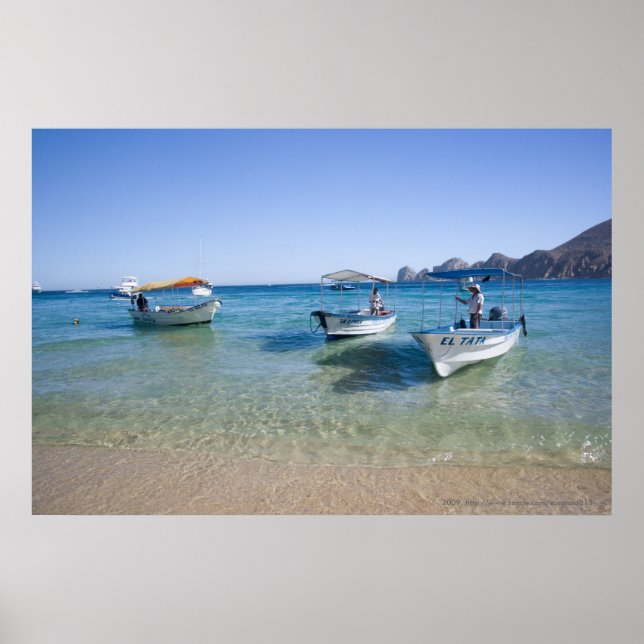 Cabo Water Taxis Poster (Front)