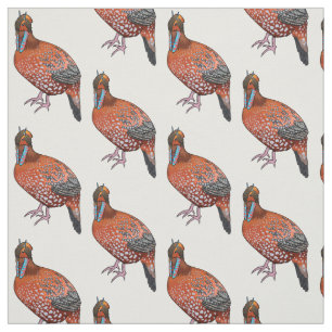 Cabot's tragopan bird cartoon illustration  fabric
