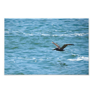 Cabrillo National Monument Photo Print