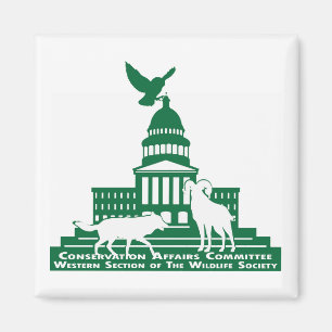 CAC magnet