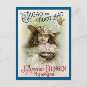 Cacao en Chocolaad Vintage Ad Postcard