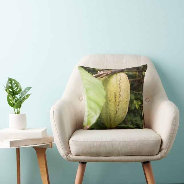 cacao pod cushion (Chair)