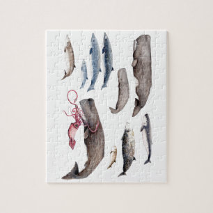 Cachalote and zifios: Whales of the depths Jigsaw Puzzle