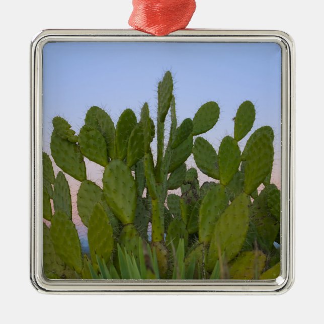 Cacti and sisal in Dry Forest Metal Ornament (Front)