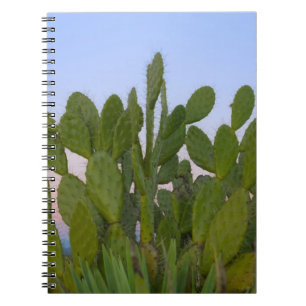 Cacti and sisal in Dry Forest Notebook