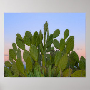 Cacti and sisal in Dry Forest Poster