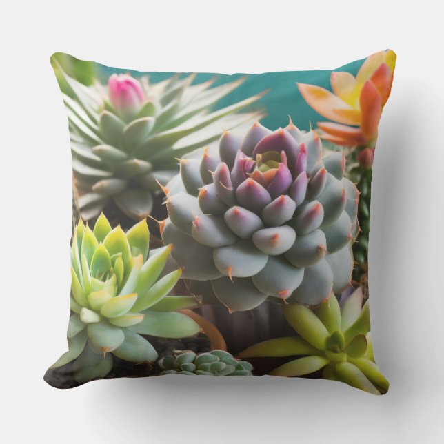 Cacti and succulents grouping	 cushion (Front)