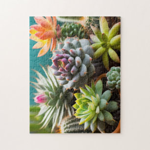 Cacti and succulents grouping jigsaw puzzle