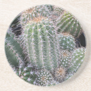 Cacti coasters