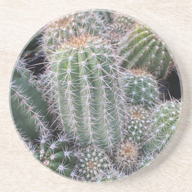 Cacti coasters (Front)