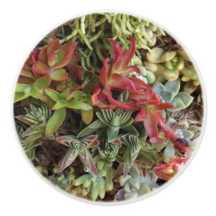 Cacti Custom Ceramic Knob