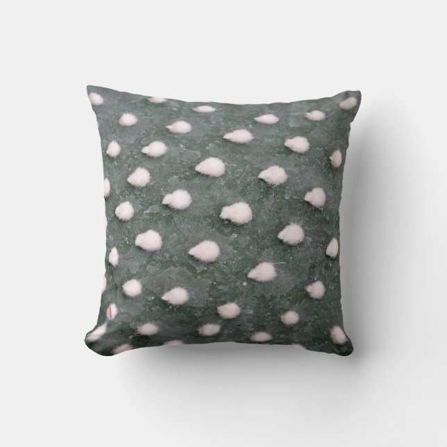 Cacti Detail Photo Throw Cushion 41 cm x 41 cm (Front)