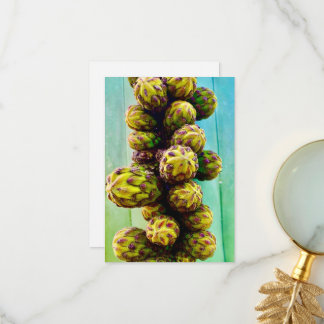 Cacti Flower Greeting Cards -Blank Inside