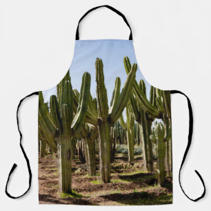 Cacti garden, tropical desert landscape. apron