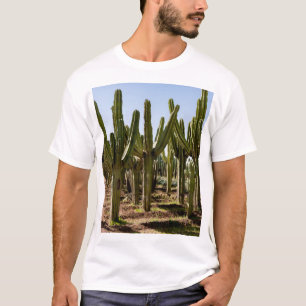 Cacti garden, tropical desert landscape. T-Shirt