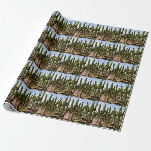 Cacti garden, tropical desert landscape. wrapping paper